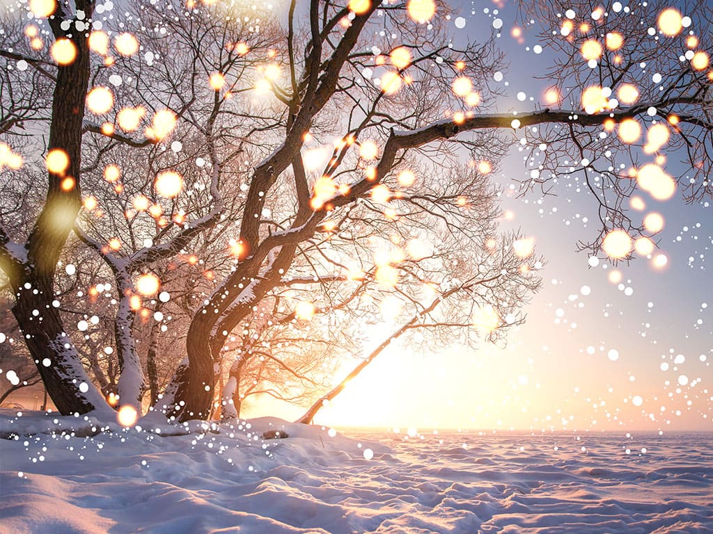 Atelier Yoga En ligne : Solstice d‘hiver - Ven. 22 Décembre
