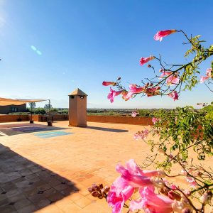 retraite-yoga-maroc-stage-yoga-marrakech-12
