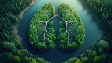 Formation-Respiration-Meditation