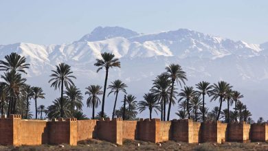 retraite de yoga MARRAKECH-ATLAS-PLAMIER